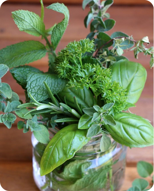 Revolutionizing Our Choices: Replacing the World’s Worst Products with Healthier, Organic Alternatives