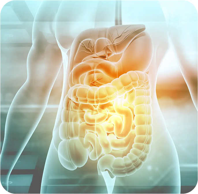 image 16 (1).png__PID:05130bad-6d99-48ee-ba8b-85922ab5a0ff